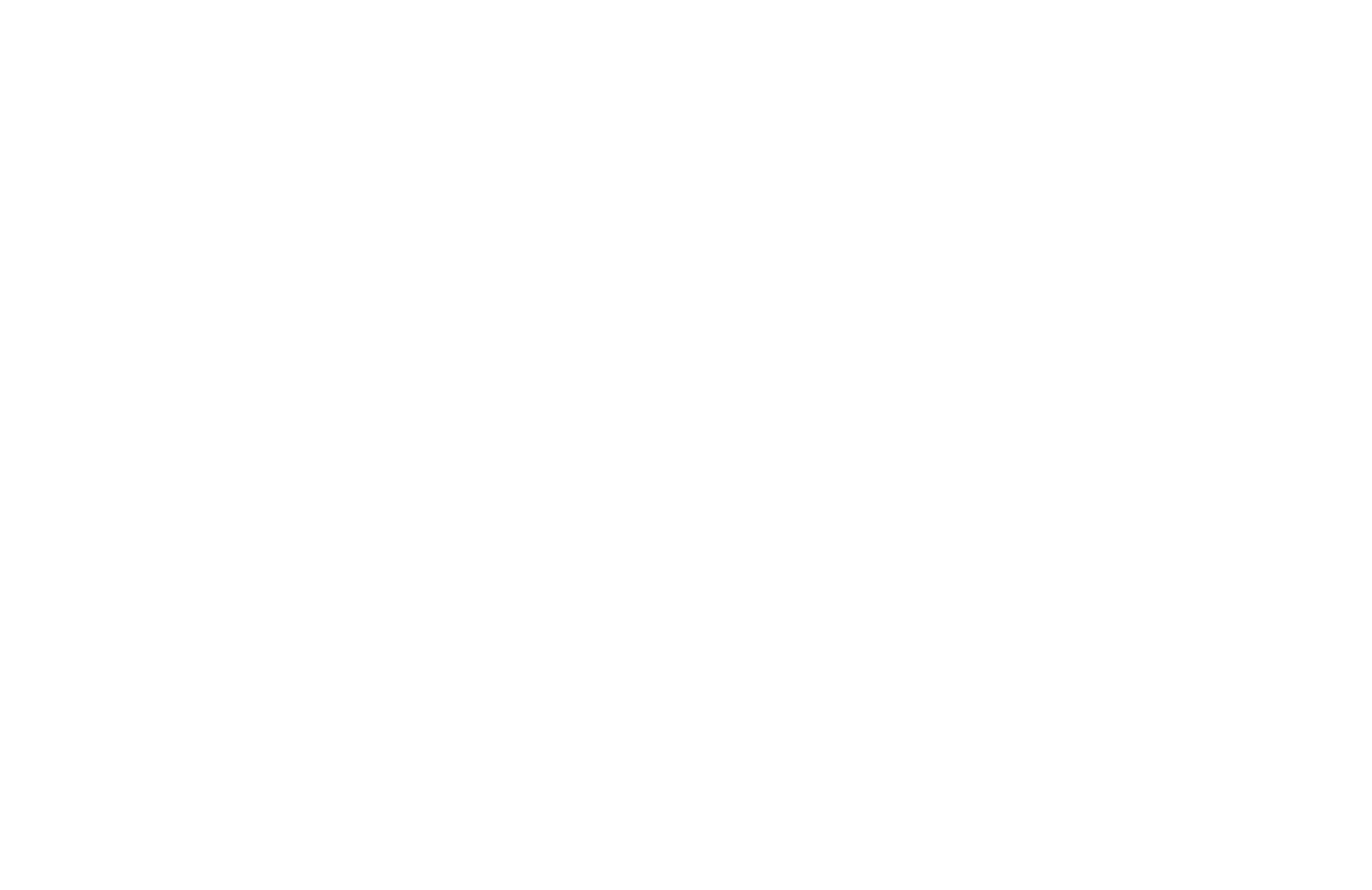 Rocket 101 Wholesale